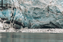 A Day in Glacier Bay National Park