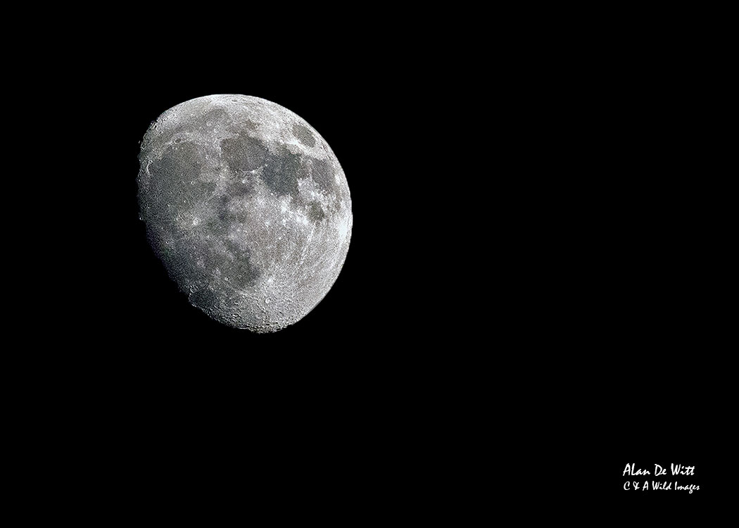 Moon over Bandhavgarh