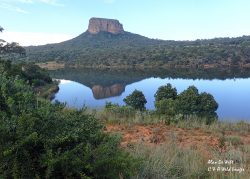 A full day in Entabeni