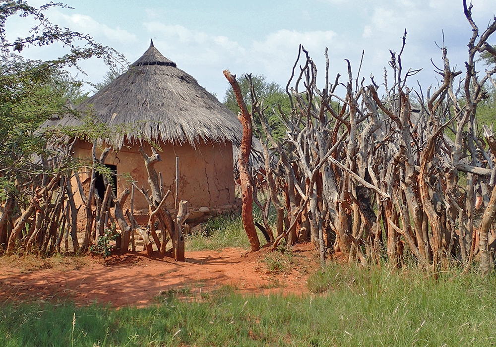 hut in the Pedi village