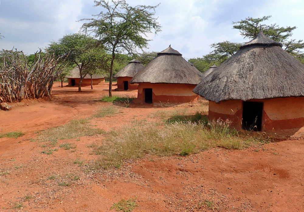 Pedi village