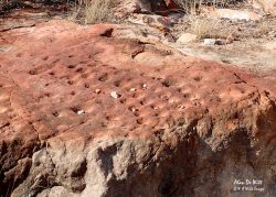 Mapungubwe UNESCO World Heritage Site