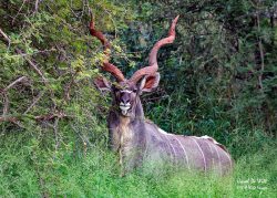 Mapungubwe National Park