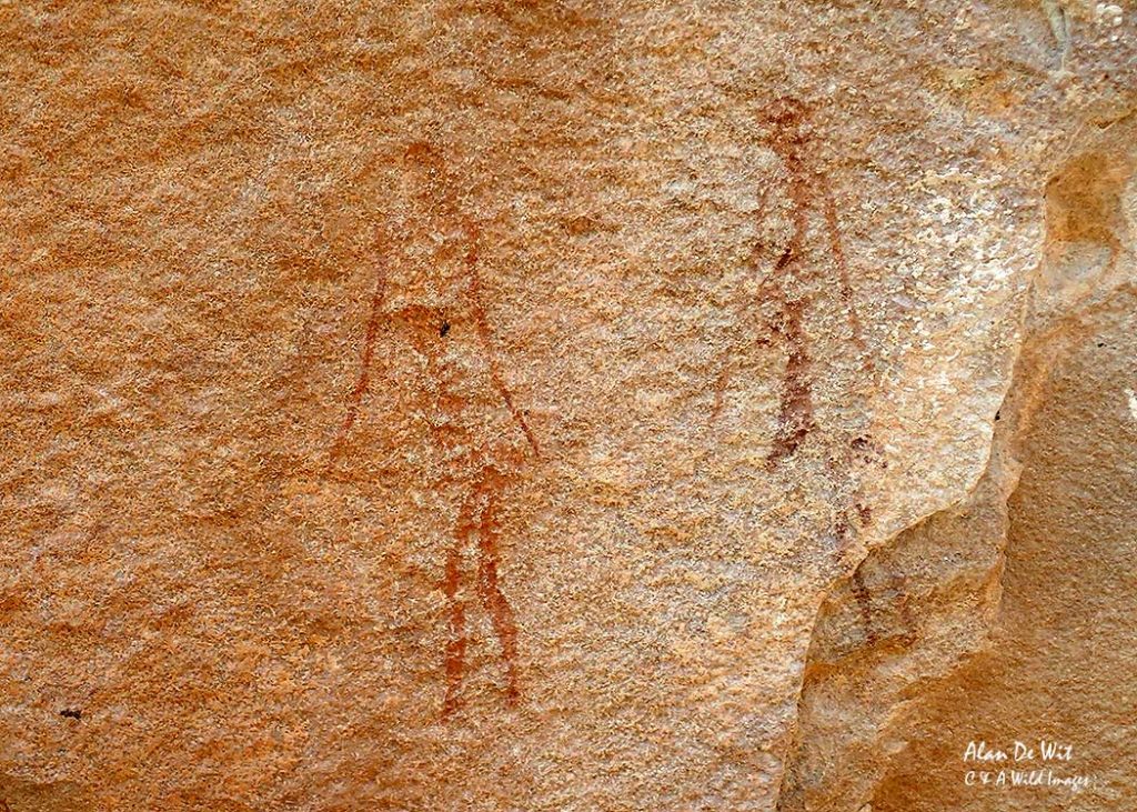 Rock art of Sans Bushman