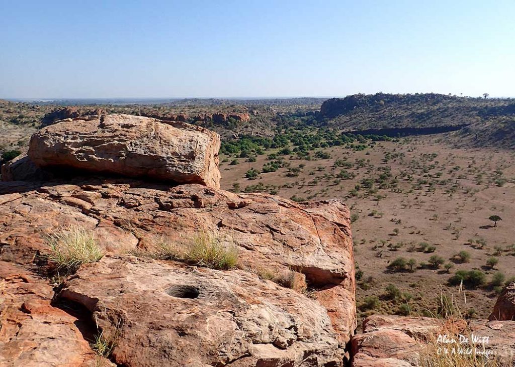 View from the summit of Jackal Hill