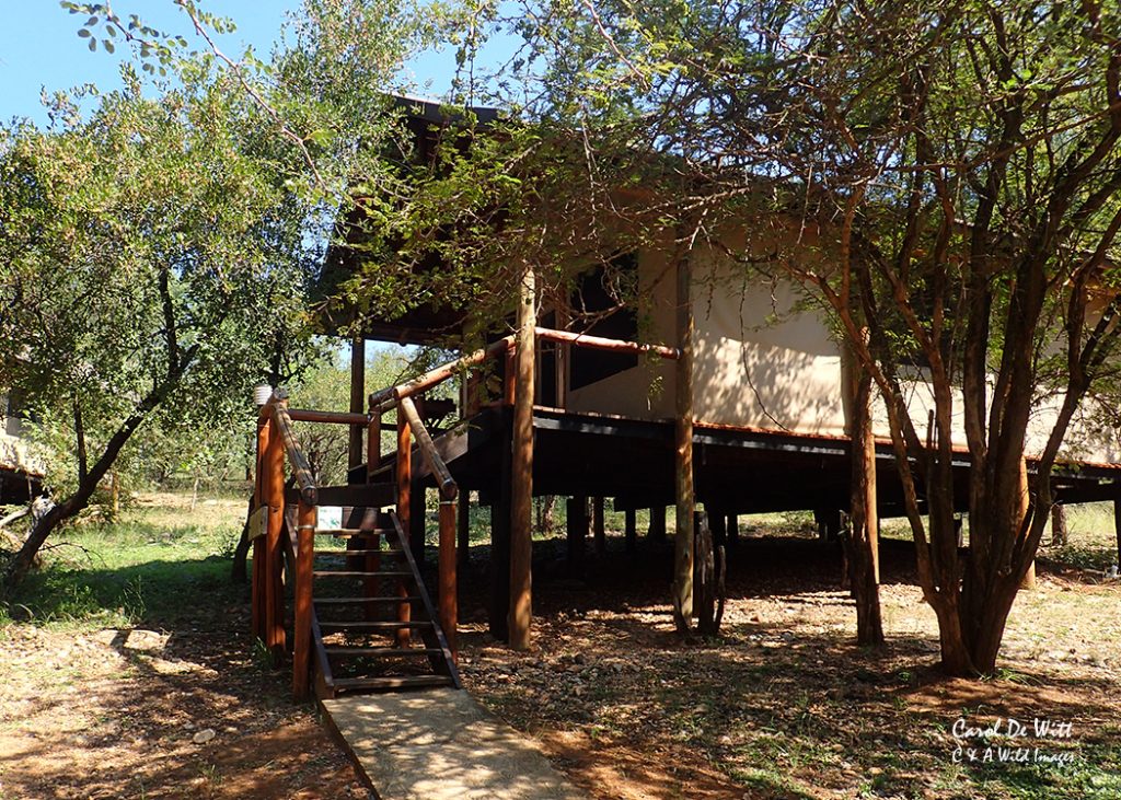 The Chisomo tented camp