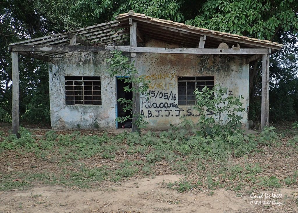 Transpantaneira  Derelict  Rest Stop