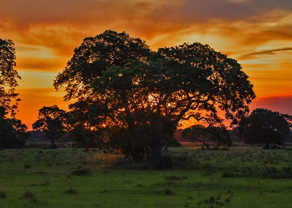 Sunset and Sundowners at Alegre lodge