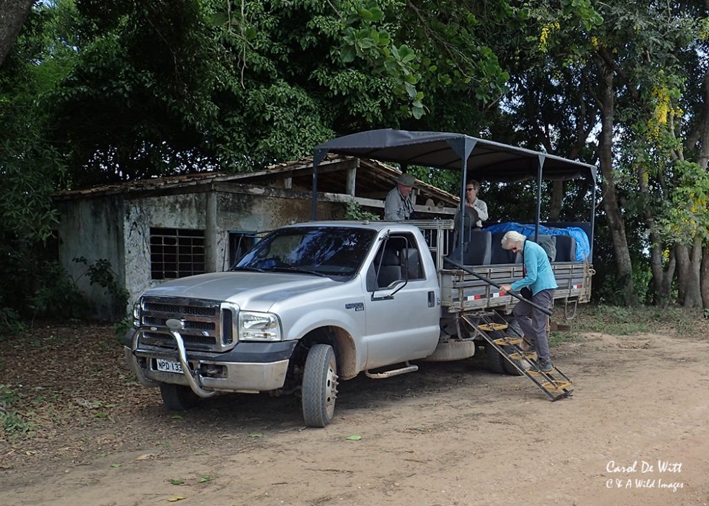 Transpantaneira  Road Stop