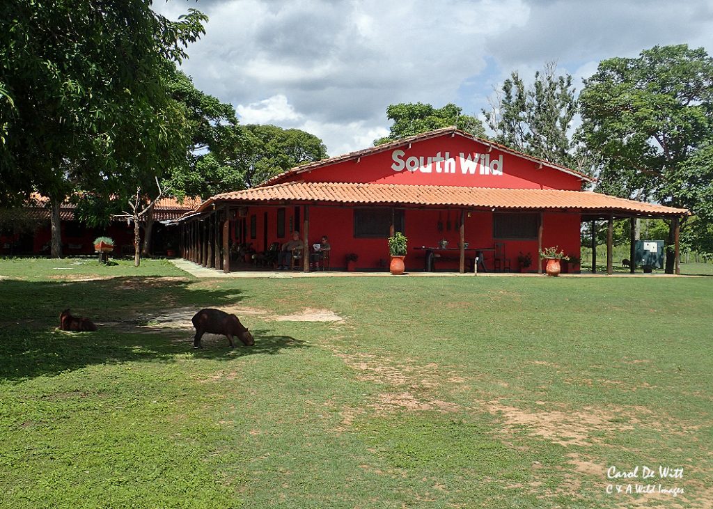 Southwild lodge