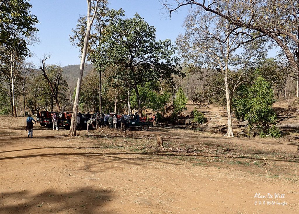 Satpura national Park