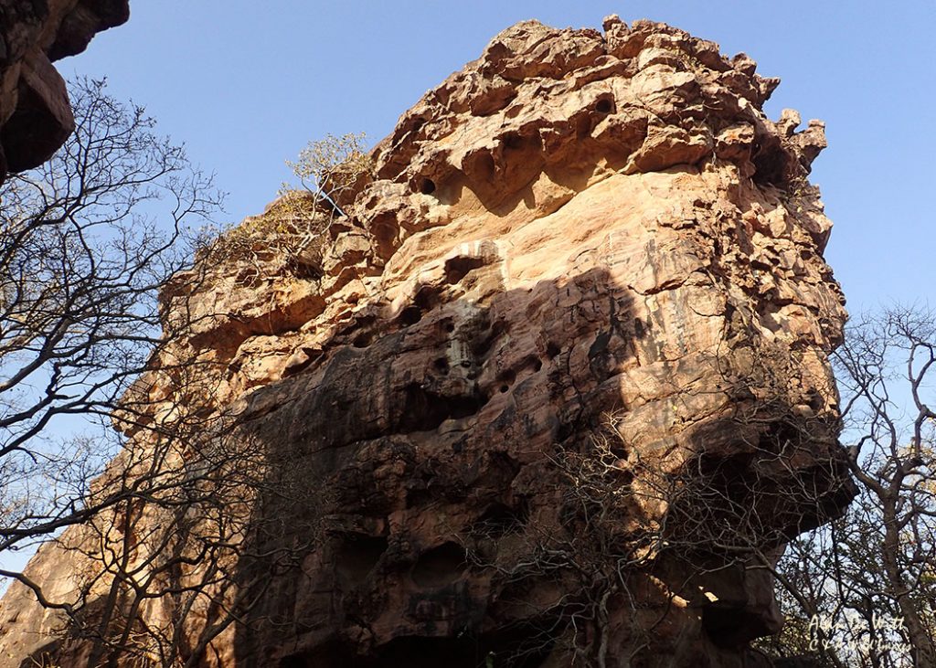 The Rock Shelter at Bhimbetka