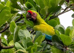 Costa Rica – Coastal Secrets