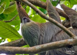 Cahuita National Park
