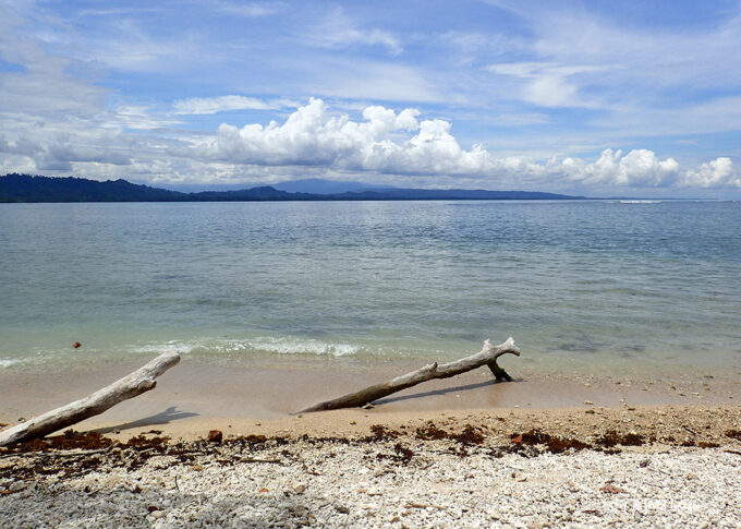 View across from Cahuita NP coastal trail