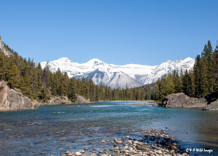Bow river near Banff