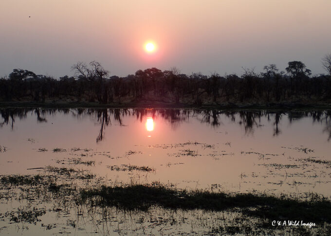 View over the Okavango at sunrise