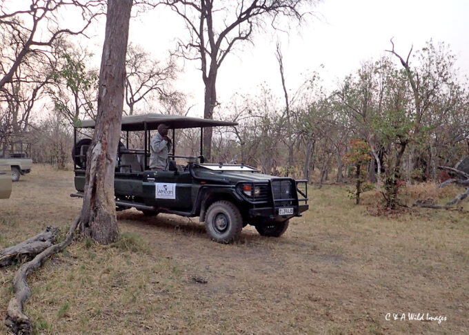 Our transport in the Khwai Concession