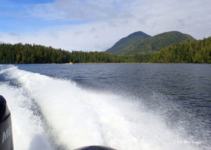 Clayoquot Sound