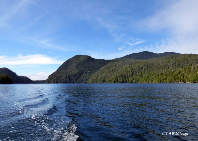 Clayoquot Sound