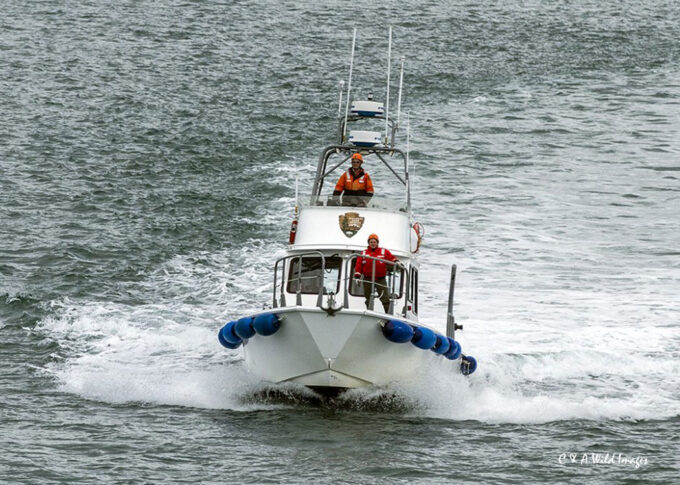 Glacier Bay Rangers