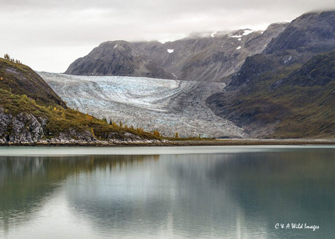 John Hopkins glacier