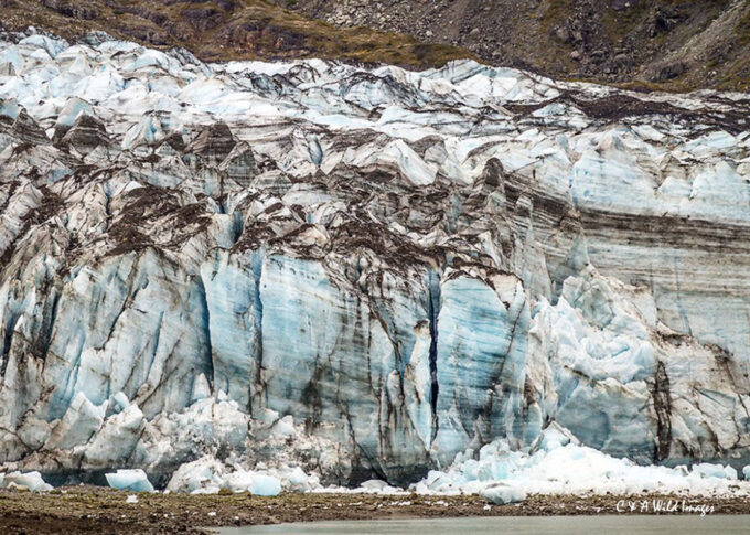 John Hopkins Glacier