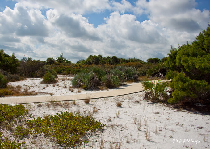 Jupiter Lighthouse Preserve_01