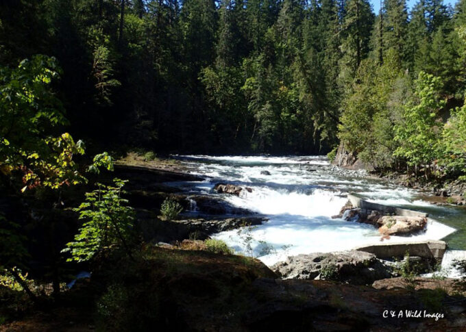 The Stamp River