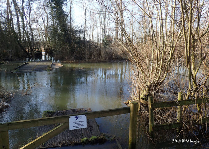 Flooding on the Hawk & Owl Reserve
