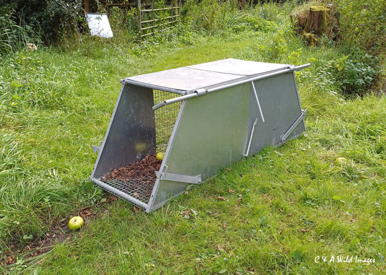 Bavarian trap at Sculthorpe Moor