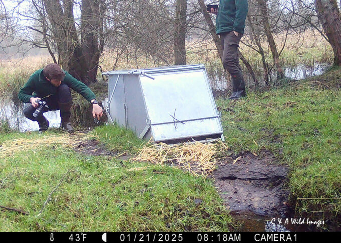 Checking the Bavarian trap at Sculthorpe Moor