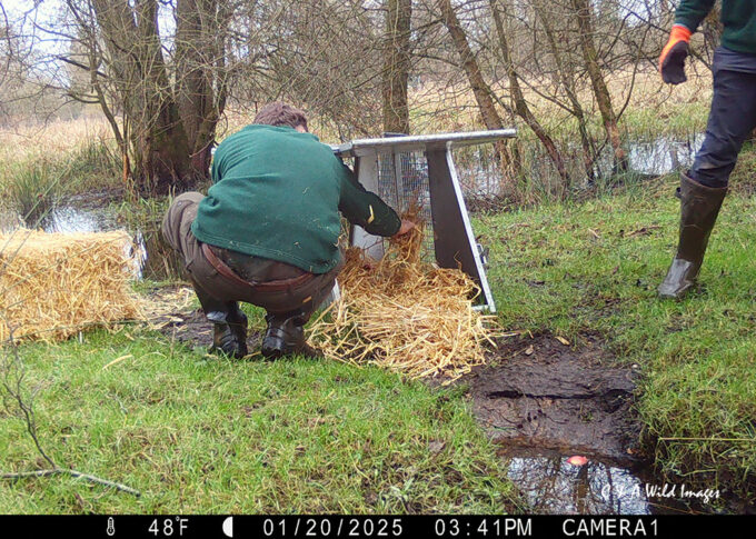 Setting the Bavarian trap at Sculthorpe Moor