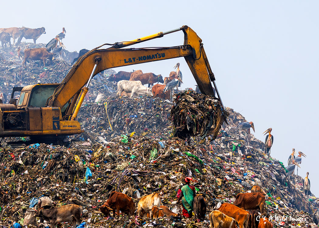 Guwahati garbage site