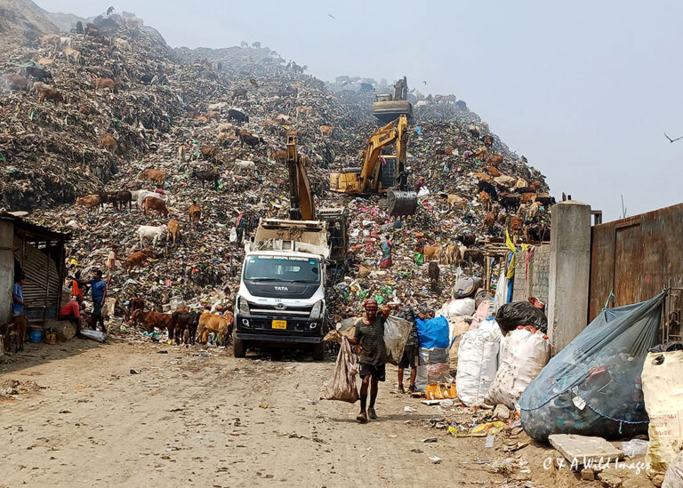 Guwahati garbage site