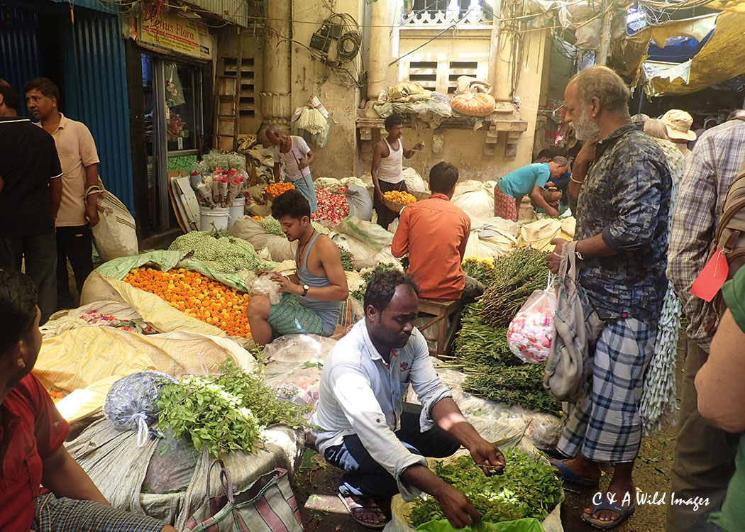 Mallick Ghat Flower Market