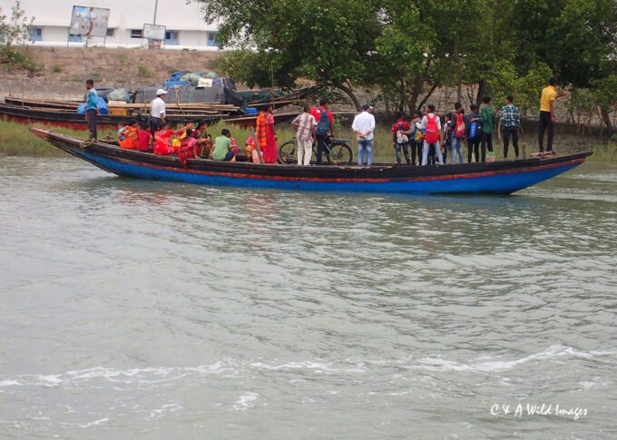 People's ferry in the Sundarban