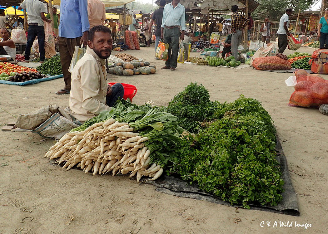 Coriander seller in the Assamese market