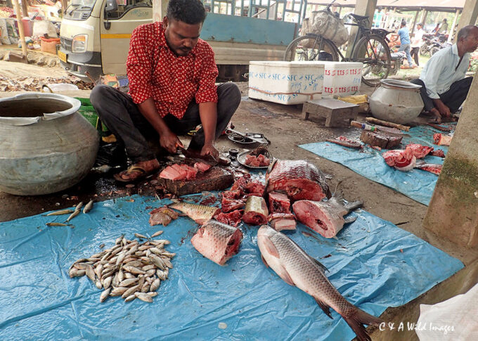 Fish Stall in the Assamese market