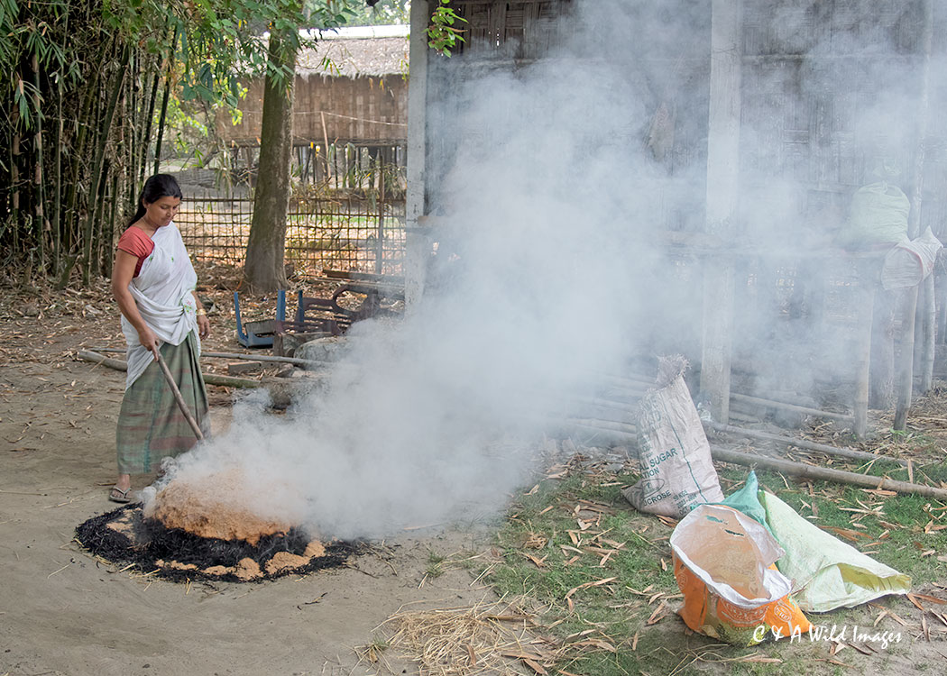 Making Khejur Gur in Mising village